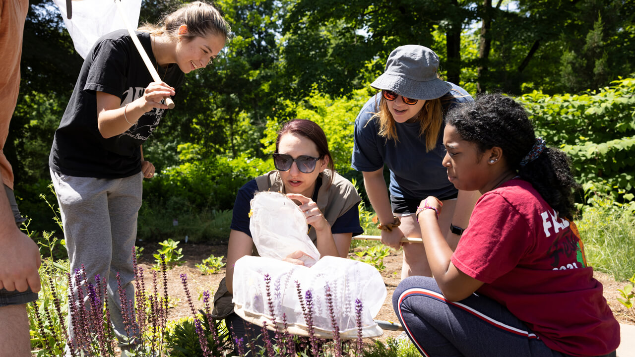 A professor and students kneel among flowers looking at a specimen