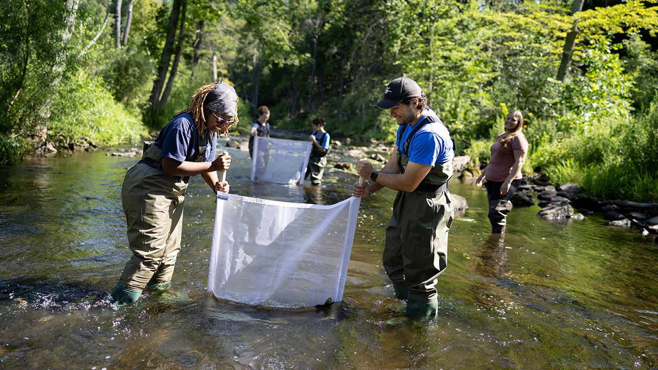 Students conduct research in a river.