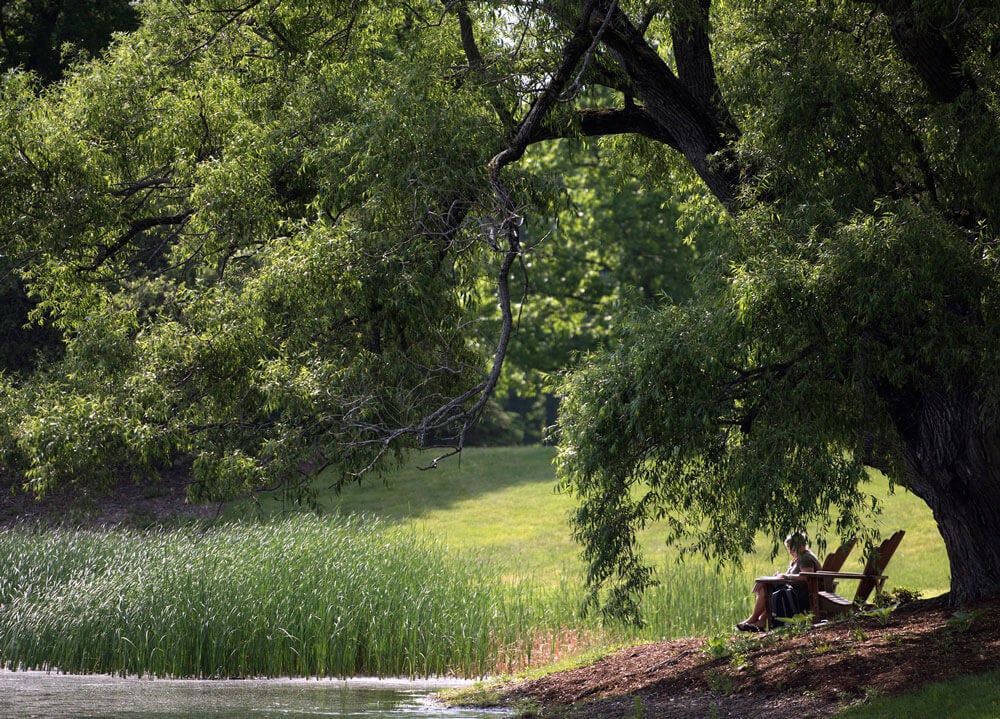 A students studies in an Adirondack chair by the pond
